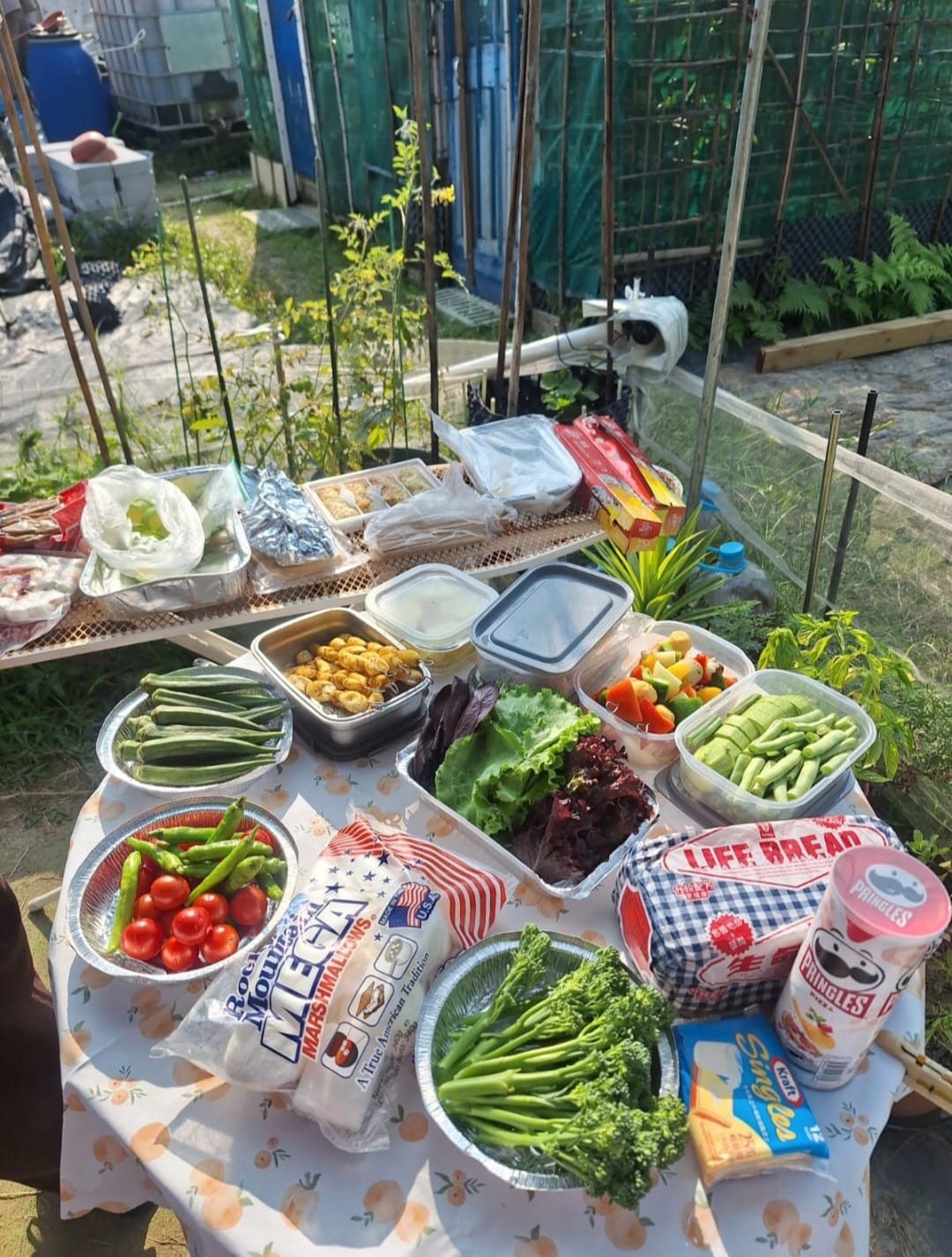 學員準備的素食燒烤蔬菜:蔬食色彩繽紛,胃口大增。