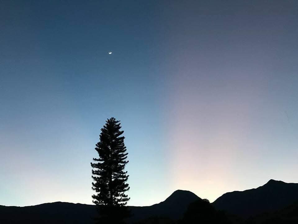 晚空的浪漫：晚上的田間別有一番景象。