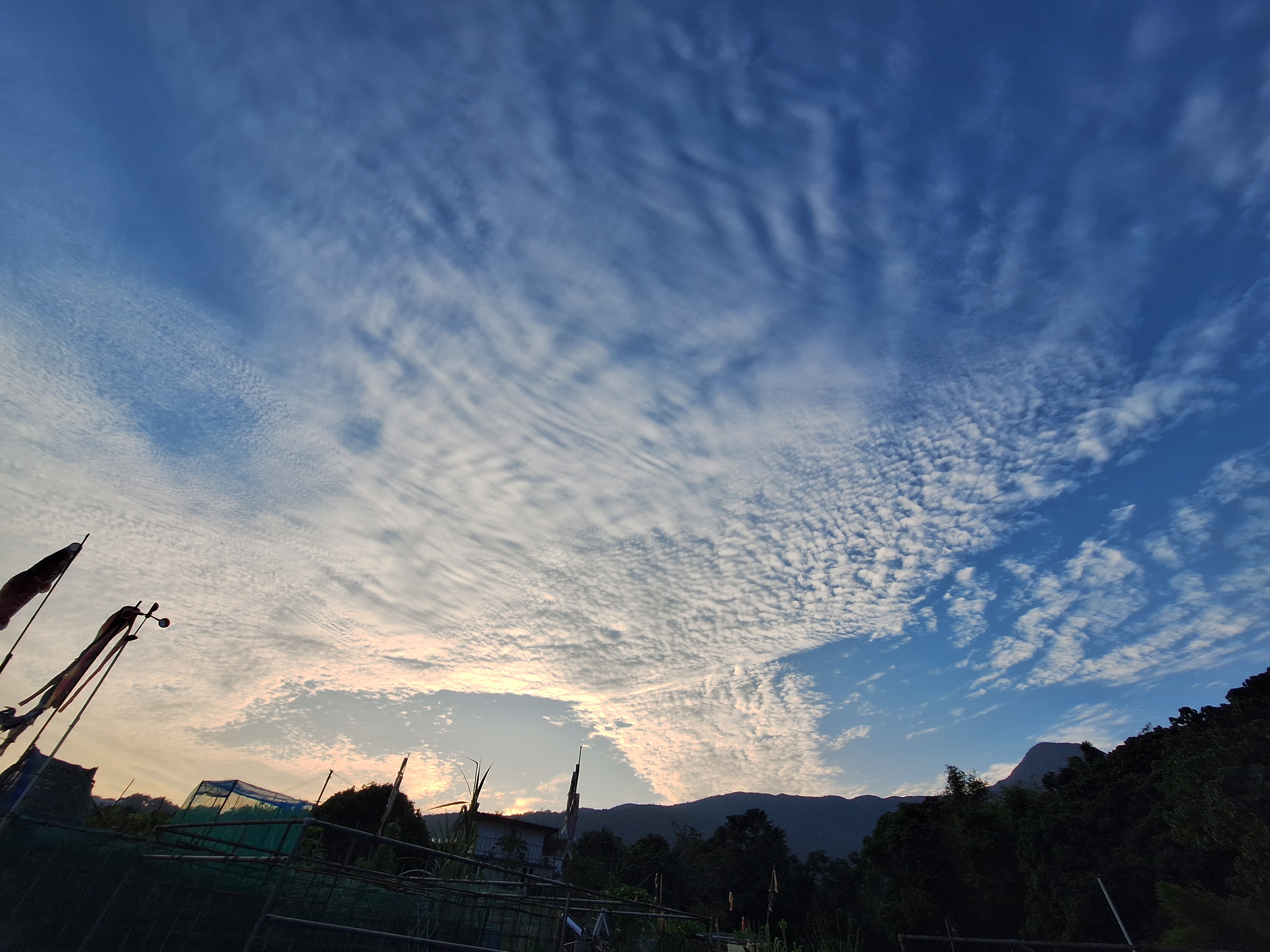 大腦放空時間：入田園最享受的， 就是放空。