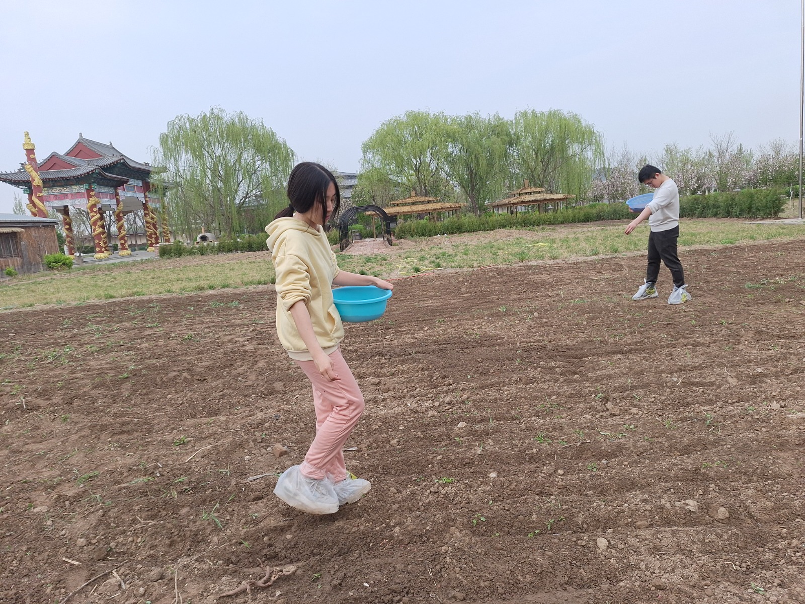 流程：天真園媽媽食物森林集合啟航