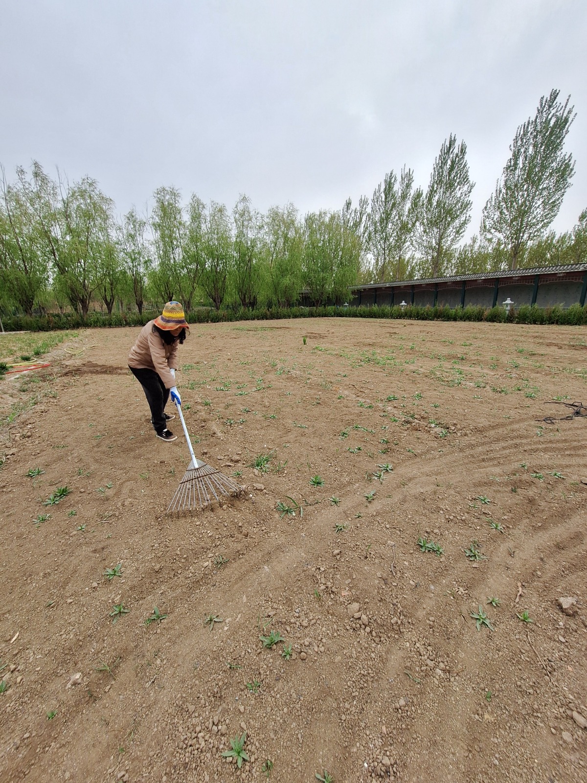 流程：天真園媽媽食物森林集合啟航