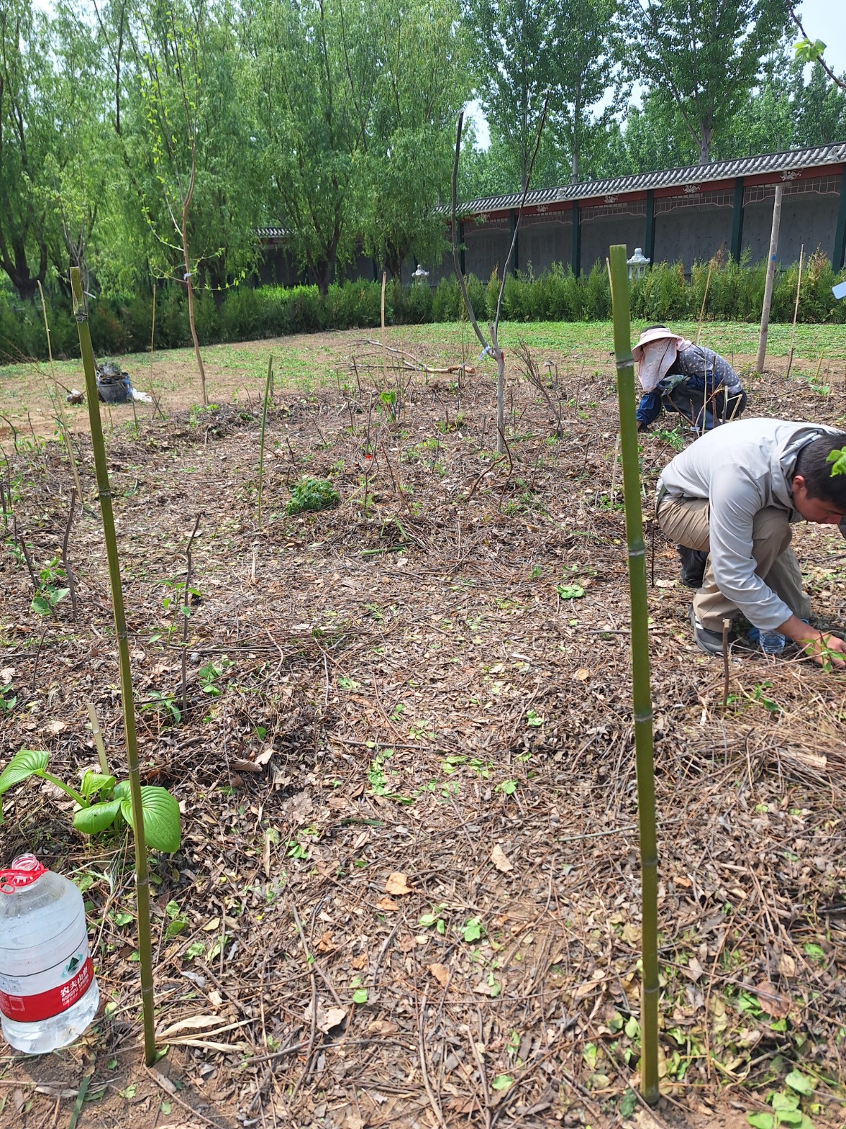 流程：天真園媽媽食物森林集合啟航