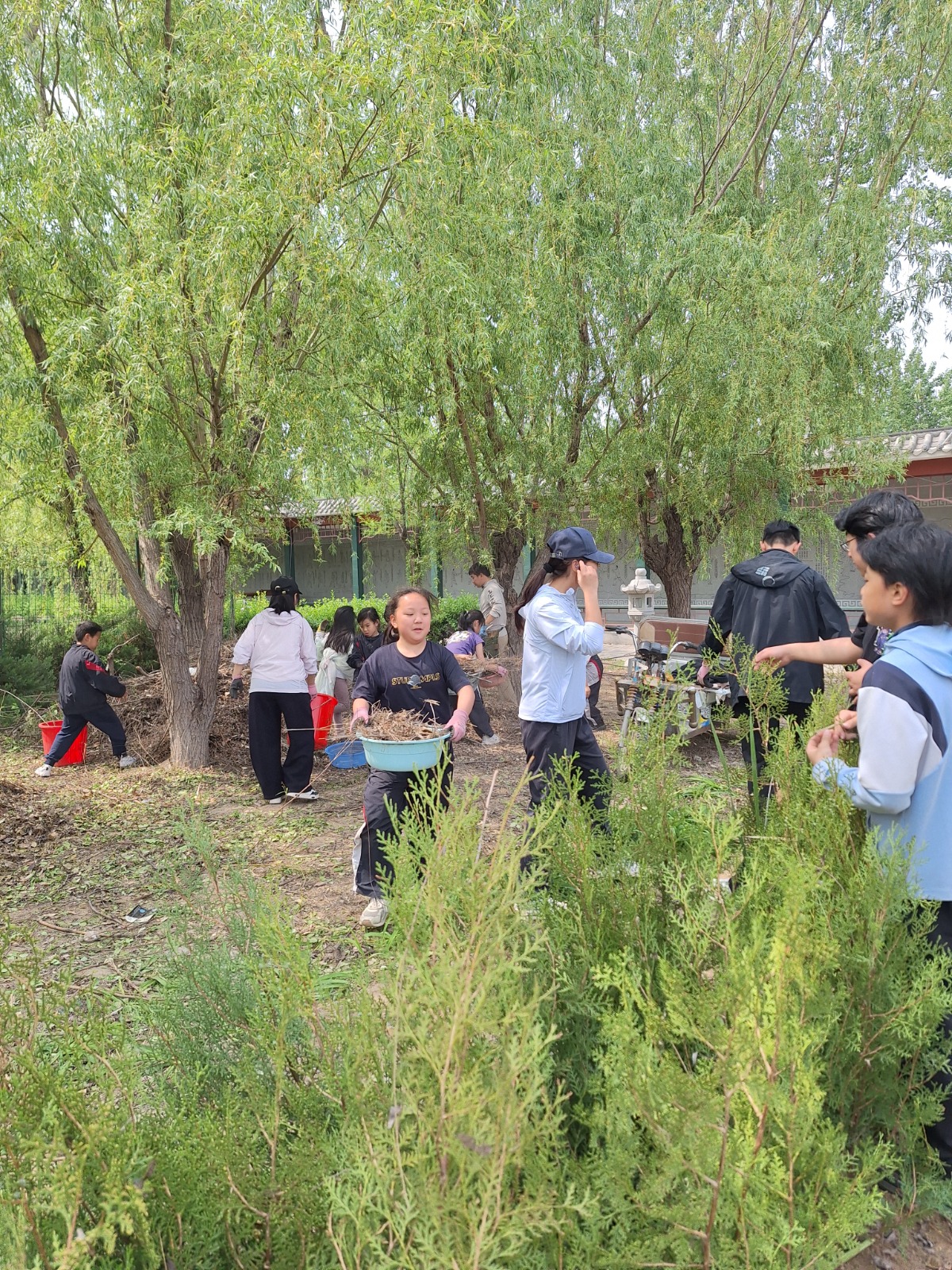 流程：天真園媽媽食物森林集合啟航